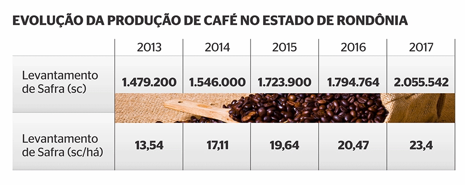 Renovação do parque cafeeiro promove transformação no campo