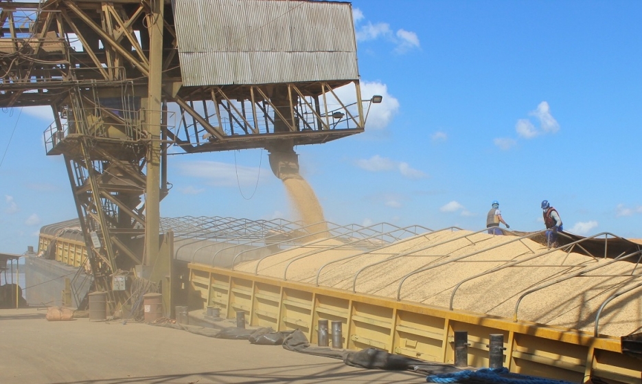 Logística proporciona economia para produtores de soja de Rondônia