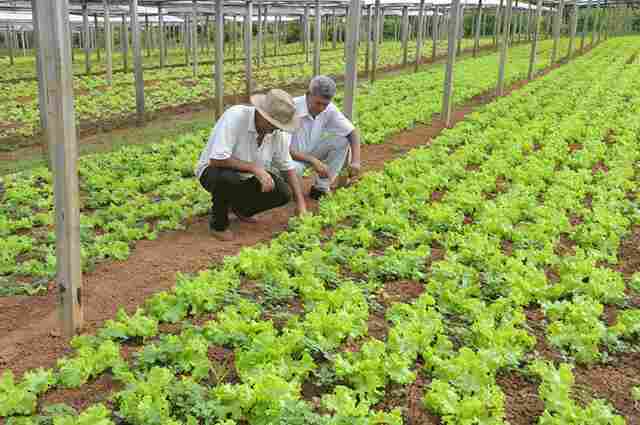 Programa atenderá mais de 3 mil pequenos agricultores em Rondônia