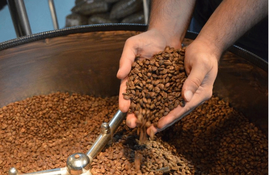 Rondônia registra crescimento na produção de café em 2017