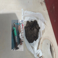 Dupla é presa por tráfico de drogas na Zona Sul de Porto Velho