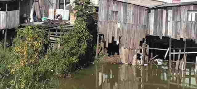 Madeira sobe mais na região central de Porto Velho e às margens da BR-364