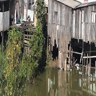 Madeira sobe mais na região central de Porto Velho e às margens da BR-364