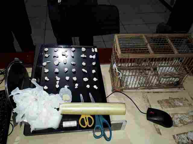 Trio é preso por tráfico na Zona Leste