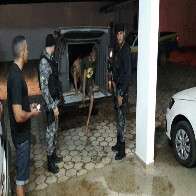 PM liberta refém e acaba com quadrilha especializada em roubos e tráfico de drogas