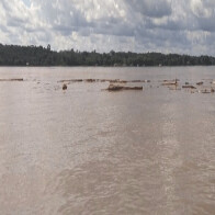 Mulher é contratada para programa sexual, cai no Rio Madeira e está desaparecida; homem é preso