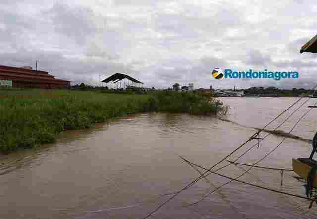 Madeira sobe mais de um metro em uma semana em Porto Velho