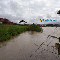 Madeira sobe mais de um metro em uma semana em Porto Velho