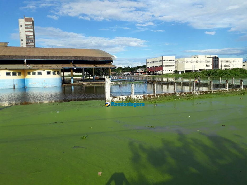Águas do Madeira já invadem ruas da região central de Porto Velho; fotos