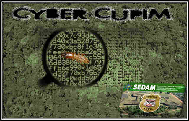 Polícia Civil cumpre 13 mandados em operação de combate a crimes ambientais em Rondônia