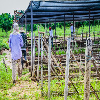 Quase 200 apenados de Rondônia são aprovados no Enem em 2017, informa Sejus