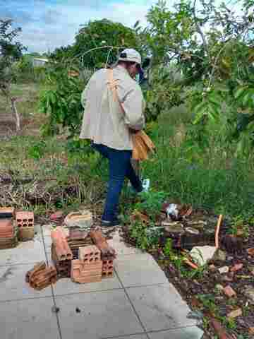 Semusa destaca trabalho de agentes de endemias na redução de casos de dengue em Porto Velho
