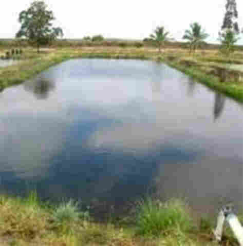 Criança morre afogada em represa na Zona Rural de Candeias