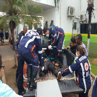 Morre criminoso baleado durante perseguição na capital