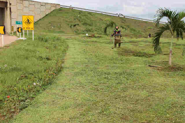 Prefeitura realiza manutenção nos canteiros e vias marginais da BR-364