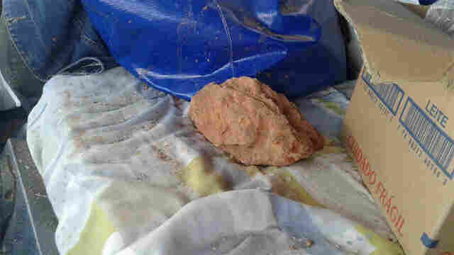 Fotos: Caminhoneiro morto com pedrada levava madeira para o Mato Grosso