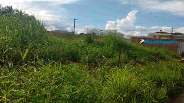 Prefeitura intensifica fiscalização de terrenos baldios em Porto Velho