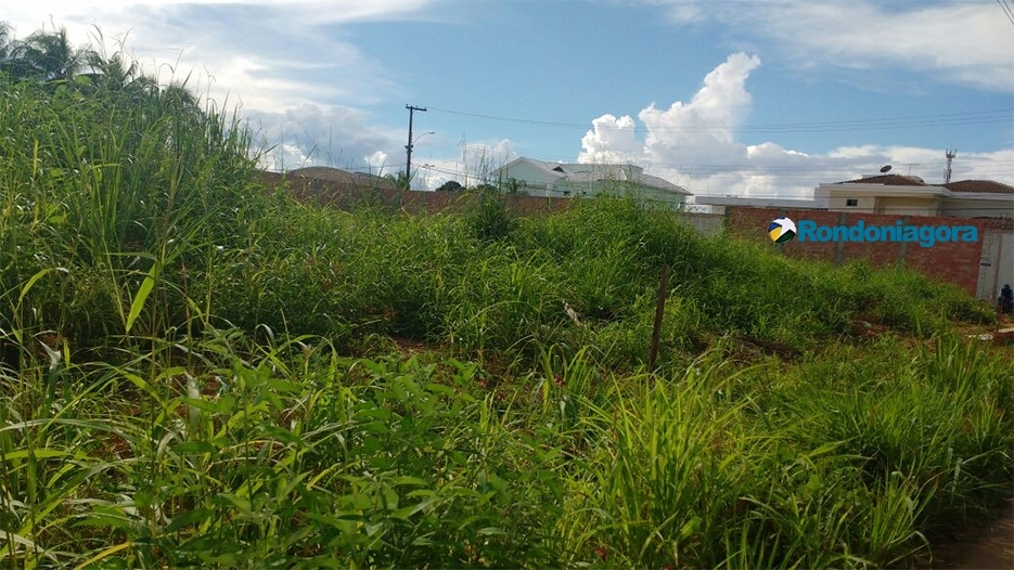 Prefeitura intensifica fiscalização de terrenos baldios em Porto Velho