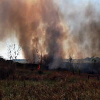 Começa a aumentar número de focos de queimadas em Rondônia