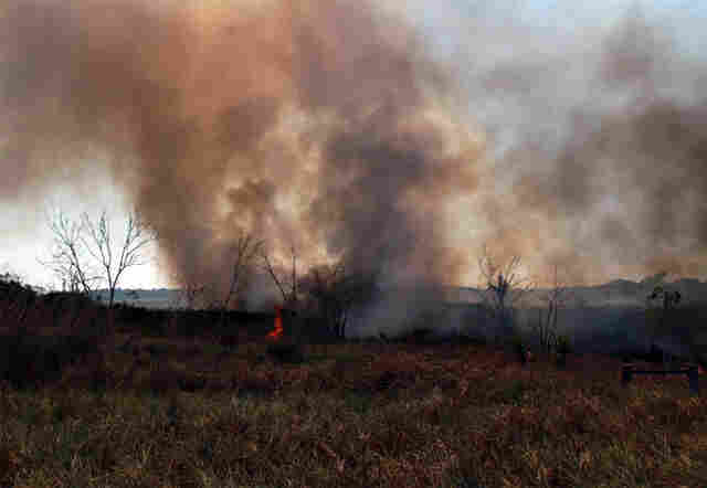 Começa a aumentar número de focos de queimadas em Rondônia