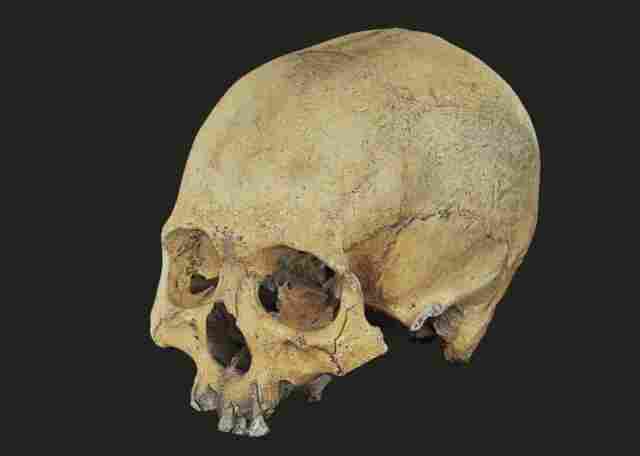 Museu da Memória mostrará na Campus Party reconstituição facial de crânio humano com três mil anos