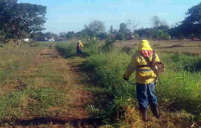 Semusb promove mutirão de limpeza no Skate Park em Porto Velho