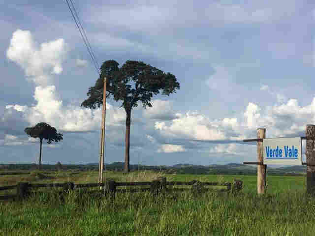 Bando armado com fuzil e outras armas pesadas invade fazenda em Alvorada do Oeste e mantém família refém