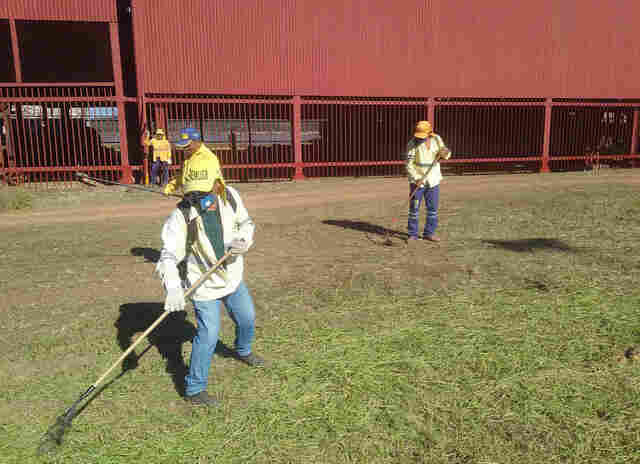 Praça da Madeira-Mamoré recebe mutirão de limpeza