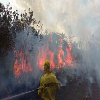 Porto Velho é o município brasileiro com maior número de queimadas nos últimos cinco meses