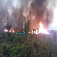Vídeo: Fogo atinge área próxima ao Espaço Alternativo; Bombeiros dizem que dia foi marcado por vários incêndios