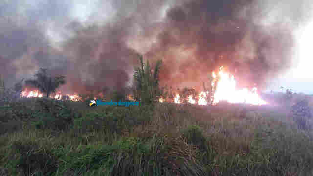 Vídeo: Fogo atinge área próxima ao Espaço Alternativo; Bombeiros dizem que dia foi marcado por vários incêndios
