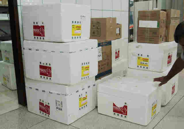 Mais 23 mil doses de vacina contra sarampo são distribuídas em Rondônia