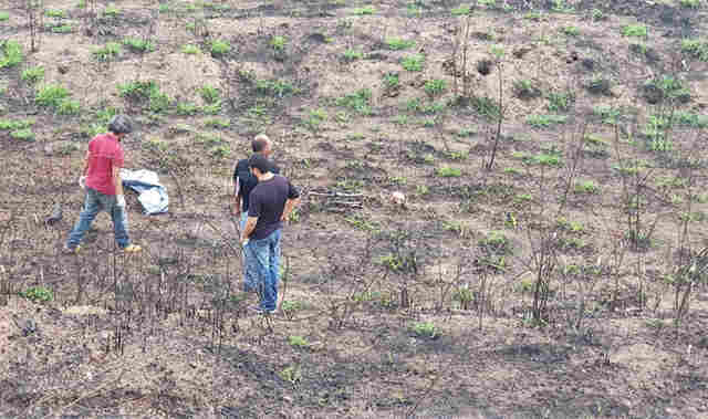 Ossada de homem é localizada às margens da BR 364 em Porto Velho