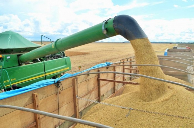 Safra de grãos em Rondônia deve chegar a 2 milhões de toneladas 