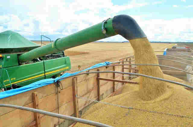Safra de grãos em Rondônia deve chegar a 2 milhões de toneladas