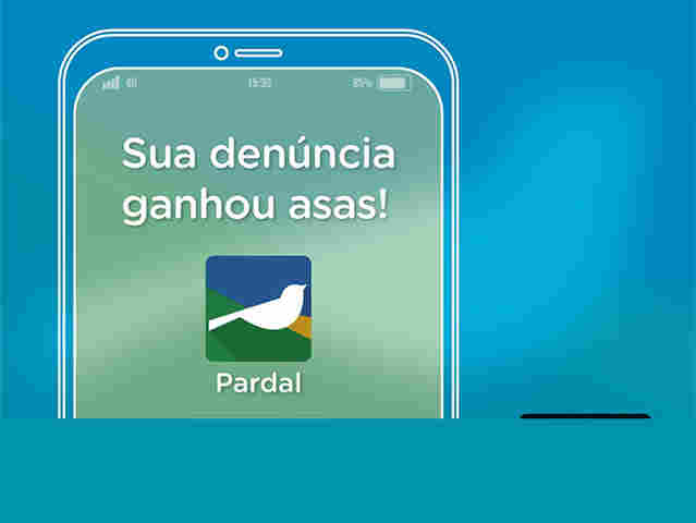 Aplicativo Pardal permite a eleitor fiscalizar e denunciar infrações na campanha eleitoral