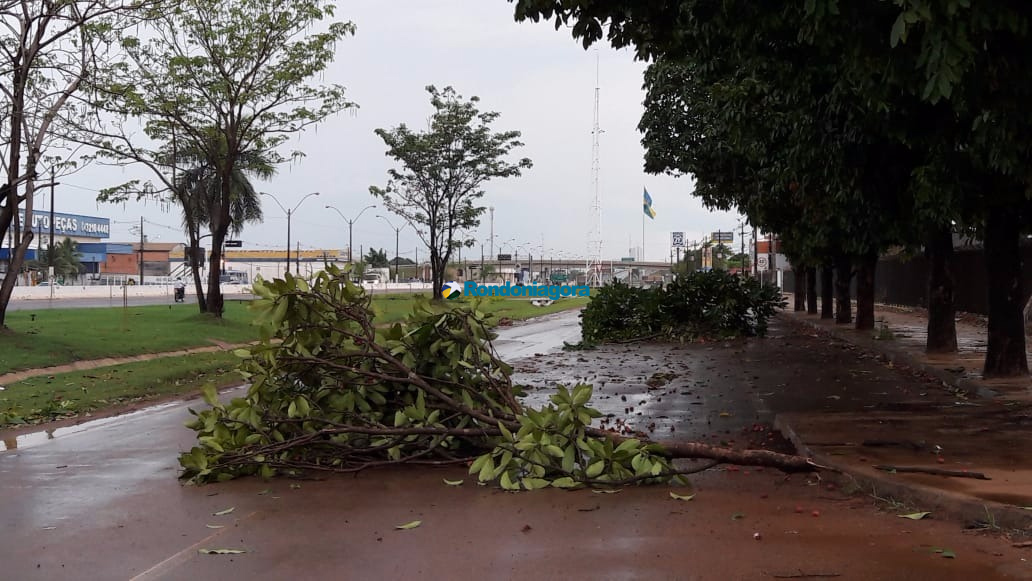 Fotos: Temporal causa destruição em Porto Velho neste sábado - Geral