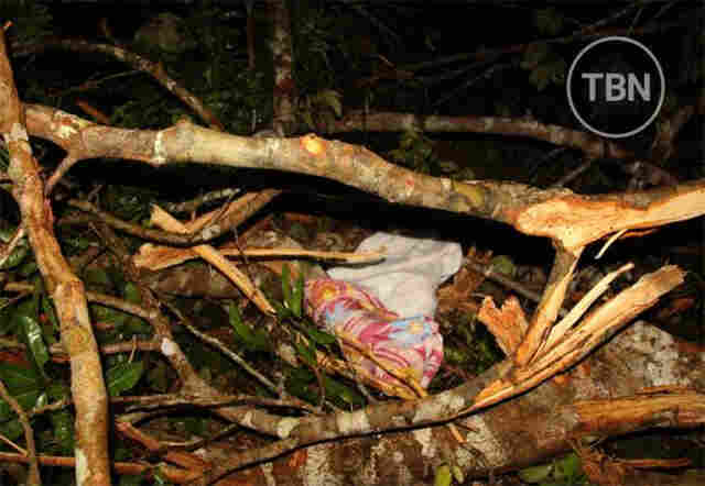 Árvore cai em acampamento, mata dois primos e deixa 10 feridos