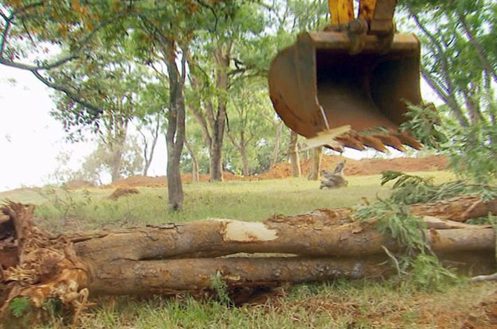 Trabalhador braçal morre durante derrubada de árvores em Candeias