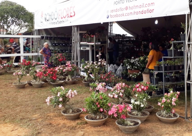 Expositores vendem flores, produtos para animais e móveis de materiais recicláveis na 3ª Portoagro