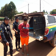 Homem é preso após tentar matar o pai a pauladas; idoso estava embaixo da cama desde o dia 24