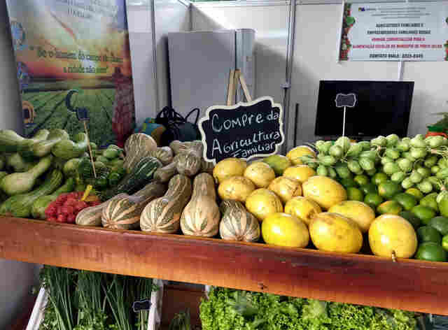 Produtores que fornecem alimentos para merenda escolar participam da Portoagro