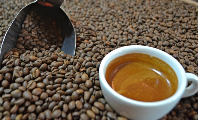 Grãos de café rondoniense são avaliados por especialistas para o 3º Concafé
