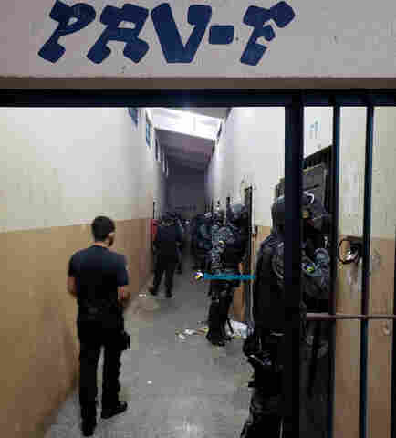 Batalhão de Choque faz revista surpresa no Urso Panda, em Porto Velho