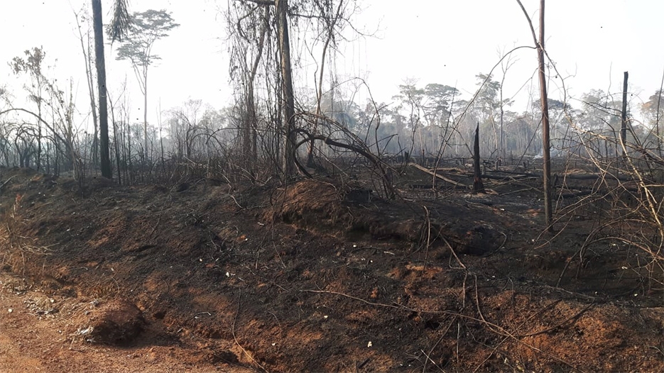 Bombeiros controlam incêndios que devastaram florestas em Nova União e Mirante da Serra