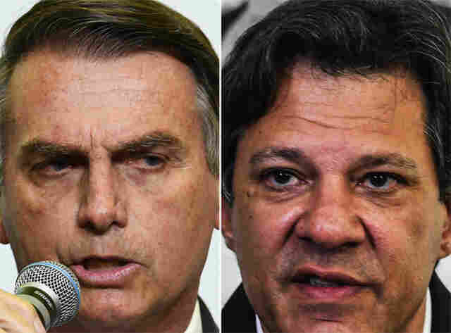 Nova pesquisa do Ibope projeta Bolsonaro e Haddad no segundo turno