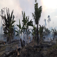 Multas contra queimadas podem chegar a R$ 7 milhões na área rural de Porto Velho