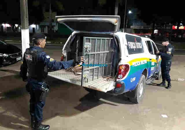 Após denúncia, polícia prende dupla com armas e munições da Capital