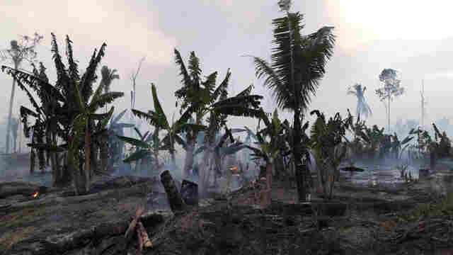 Multas contra queimadas podem chegar a R$ 7 milhões na área rural de Porto Velho