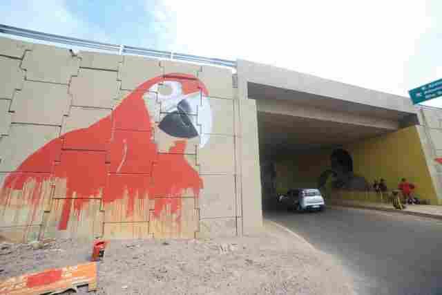 Projeto Graffizônia reúne grafiteiros e transforma viadutos de Porto Velho